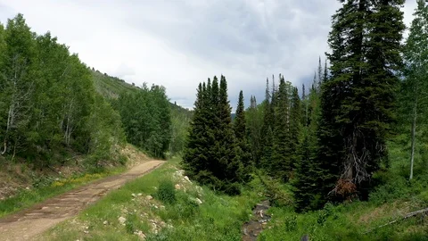 Aerial-Flying low over small stream-dirt road to pine in mountains Video stock 112363543