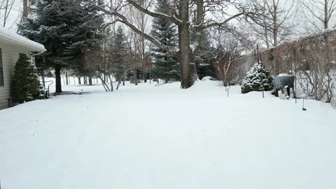Aerial-Flying low over tree lined snow covered yard Stock Footage 236721064