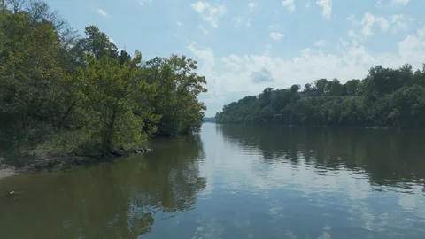 Aerial-Flying low over tree lined Cumberland River Stock Footage 287806052