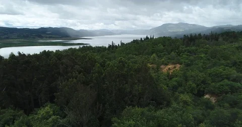 Aerial flying low over trees to reveal the Embalse de Tolima Stock-Footage 77853147