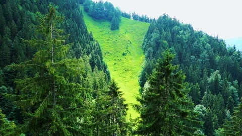 Aerial flying up mountain side with trees. Bavaria Alps Видео 92232831