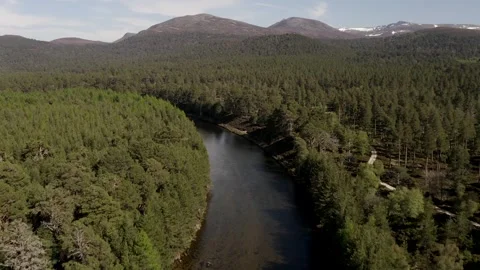 Aerial flying over Dee River and green trees crowns in wild forest with hills on 스톡 동영상 251036656