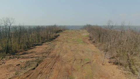 Aerial flying over a deforestation forest trees. Logging truck in the forest Stock Footage 133082802