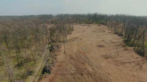 Aerial flying over a deforestation forest trees. Logging truck in the forest Stock Footage 133083909