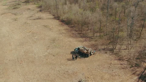 Aerial flying over a deforestation forest trees. Logging truck in the forest Stock Footage 133085437