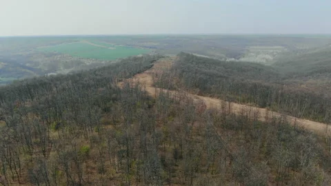 Aerial flying over a deforestation forest trees. Logging truck in the forest Stock Footage 133093162