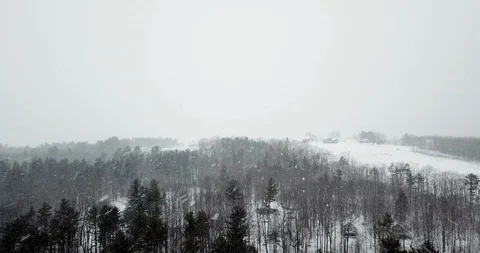 Aerial flying over dense forest treetops in a heavy snowstorm Stock Footage 124829868