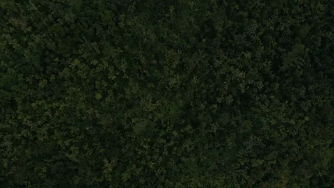 Aerial Flying Over El Yunque Rainforest Puerto Rico Stock Footage