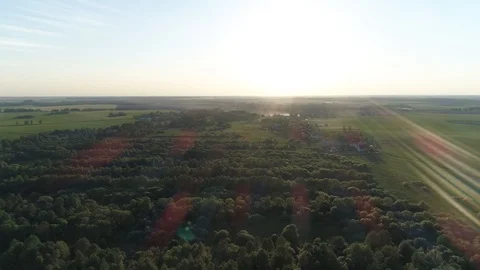Aerial flying over the forest around the field Stock Footage 101979226
