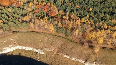 Aerial flying over the forest Stock Footage 97652552