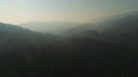 Aerial flying over forest with mist, haze in the sky. Slow moving with drone. Video stock 146190096