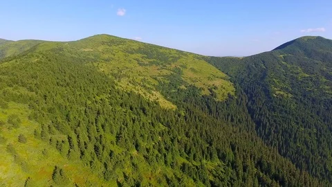 Aerial: flying over a forest in mountains Stock Footage 80602453