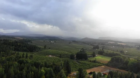 Aerial: Flying Over Forest Under an Overcast Sky Stock Footage 102155124