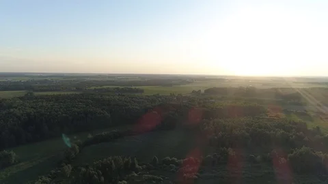 Aerial flying over forests and fields in sunny summer weather Stock Footage 101979428