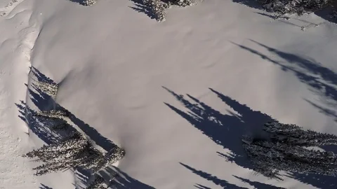Aerial-Flying over Looking down on snow covered pine trees Stock Footage 72200171