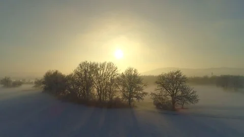 AERIAL: Flying over misty bare trees and snowy fields at magical winter sunrise Stock Footage