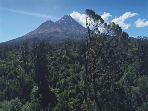 Aerial: flying over native forest on Mt Taranaki / Mt Egmont, New Zealand Stock-Footage 75730119