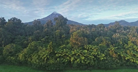 Aerial: flying over native forest on Mt Taranaki / Mt Egmont, New Zealand Stock Footage 75746607