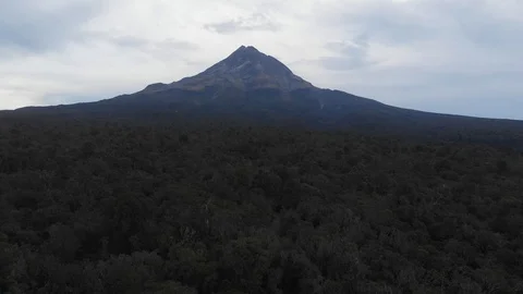 Aerial flying over the native forest on Mt Taranaki / Mt Egmont New Zealand Stock Footage 127837924