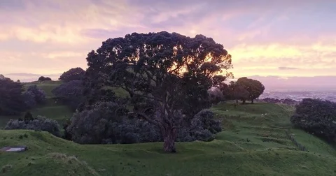 Aerial: flying over One Tree Hill Volcano in Auckland, New Zealand Stock Footage 83800725