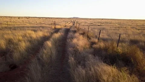 Aerial flying over open grass plains Stock-Footage 327278674