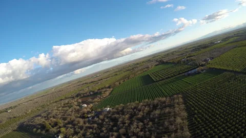 Aerial flying over orchards spring time northern california Vídeo Stock 238408244