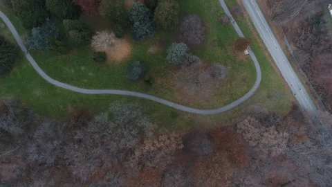 Aerial Flying Over Park With Autumn Trees Evergreens Close To Dusk Drone Vie Stock Footage 121187264