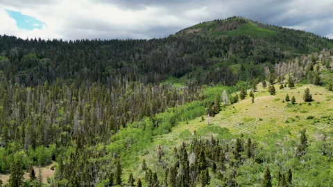 Aerial-Flying over pine forest to mountain in shadow of clouds Vídeo Stock 248097556