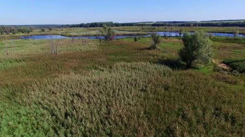 Aerial: flying over river Stock Footage 54296357