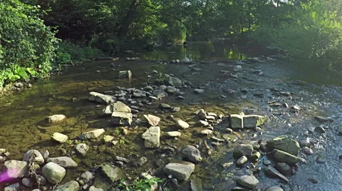 AERIAL: Flying over river in the forest mountain Видео 54142278