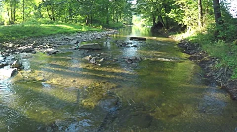 AERIAL: Flying over river in the forest mountain Video stock 54146071