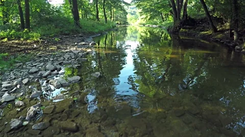 AERIAL: Flying over river in the forest. Mountain stream in the forest. 스톡 동영상 54218480