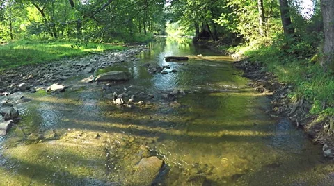 AERIAL: Flying over river in the forest. Mountain stream in the forest. Vídeo Stock 54218579