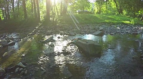 AERIAL: Flying over river in the forest. Mountain stream in the forest. Video stock 54219483
