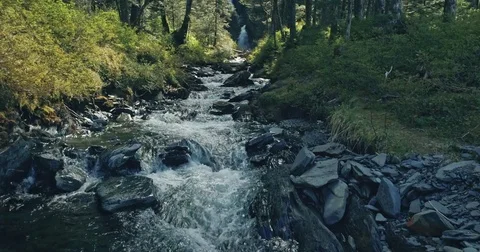 Aerial : flying over a river up to a waterfall in a forest, Whittier, Alaska Stock Footage