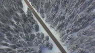Aerial: Flying Over The Road In Winter Pine Forest Stock Footage