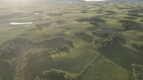 Aerial flying over rolling green colored ranch country small lakes and tress Stock Footage 291707497