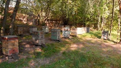 Aerial flying over a small bee apiary. Aerial shot taken by drone Stock Footage 120792375