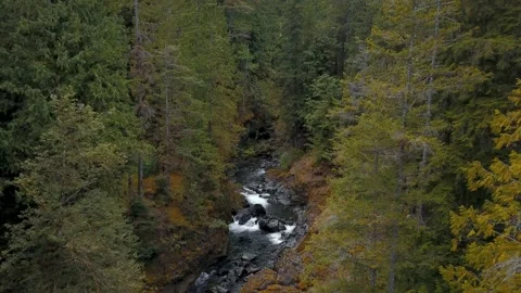 Aerial flying over a small river flowing through a forest. Stock-Footage 186899877