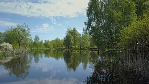 AERIAL | Flying over the surface of small pond Video stock 89509978