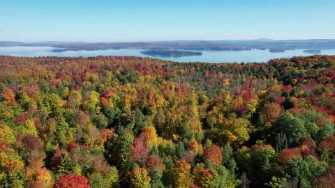 Aerial Flying Over Vibrant Fall Foliage Toward Lake in Vermont Stock Footage 284364488