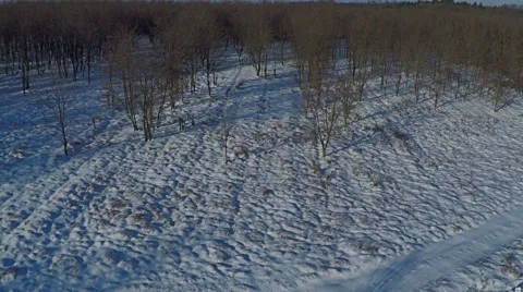 AERIAL, Flying over Winter forest in the mountain Video stock 58884789