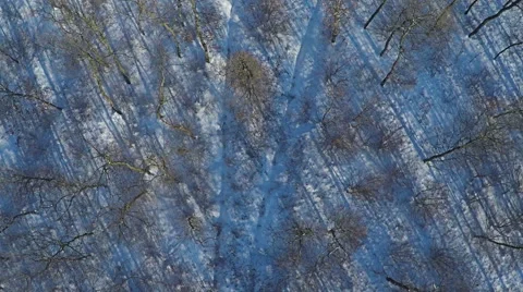 AERIAL, Flying over Winter forest in the mountain 库存影片 58885970