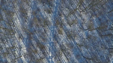 AERIAL, Flying over Winter forest in the mountain 库存影片 58885985