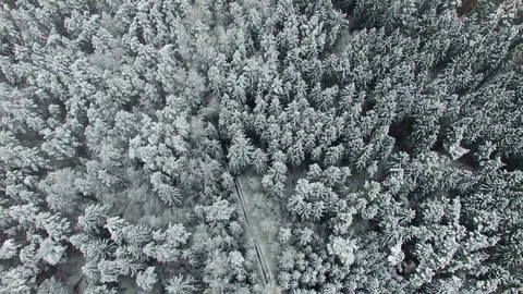 Aerial Flying Over Woods In Winter Stock Footage 71101774