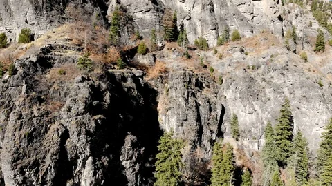 Aerial-Flying up rugged gray cliffs dotted with pine trees Stock Footage 97910562