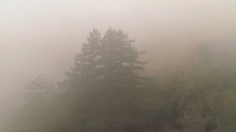 Aerial flying shot backwards in extremely dense fog flying over forested hills. 库存影片 87743342