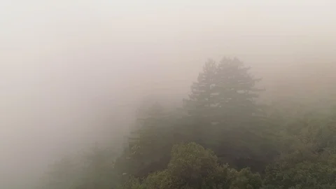 Aerial flying shot in extremely dense fog and mist flying over forested hills. Video stock 87738350