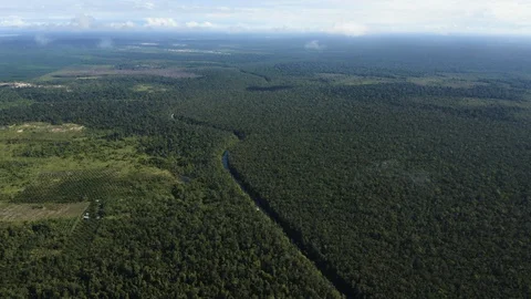 Aerial Flying Through Cloud Over Borneo Landscape, Borneo, Indonesia Stock Footage 129435167