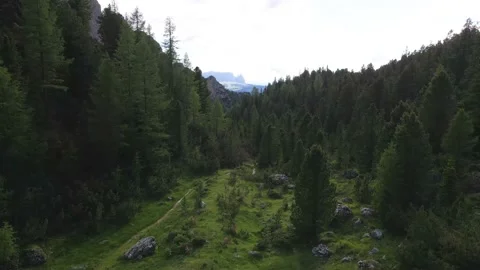 Aerial Flying Through Forest Trees, Sassolungo Langkofel Mountains, Italy Stock Footage 144412709